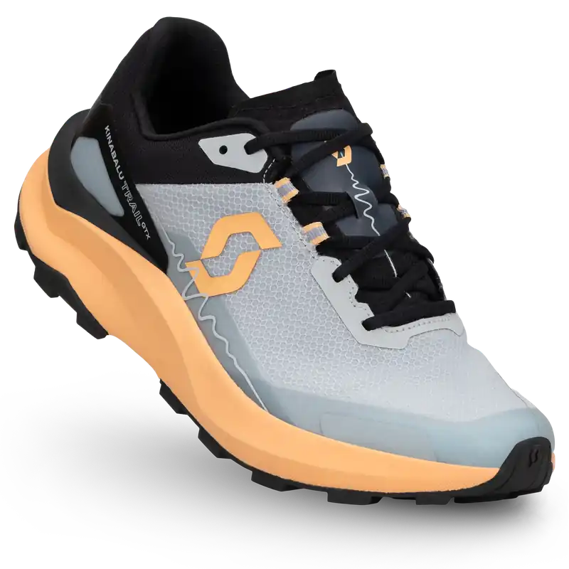 Nízká Cena SCOTT W‘s Kinabalu Trail GTX (Šedá) - Dámské trailové běžecké boty Endorphin Republic