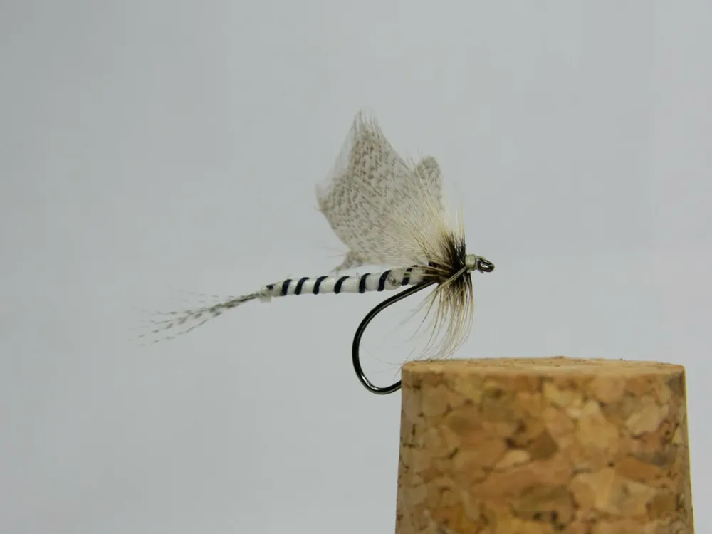Ověřený Tommi Fly Májovka S35