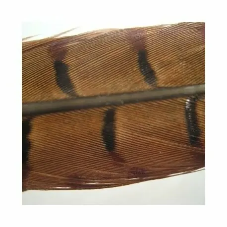 HENDS BAŽANTÍ PEŘÍ PHEASANT TAIL PŘÍRODNÍ Akční Nabídka