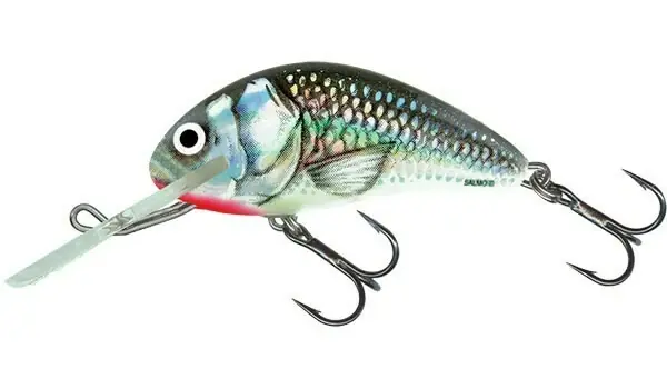 Nízká Cena Salmo Wobler Hornet Floating Holographic Grey Shiner