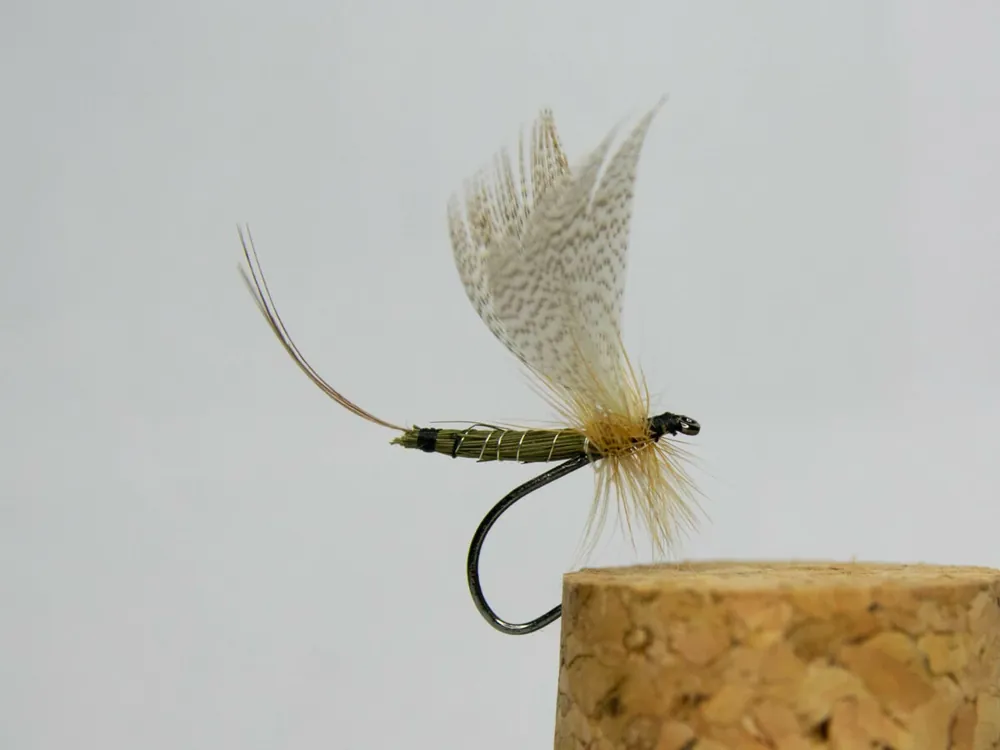 Tommi Fly Májovka S28 Poslední Šance
