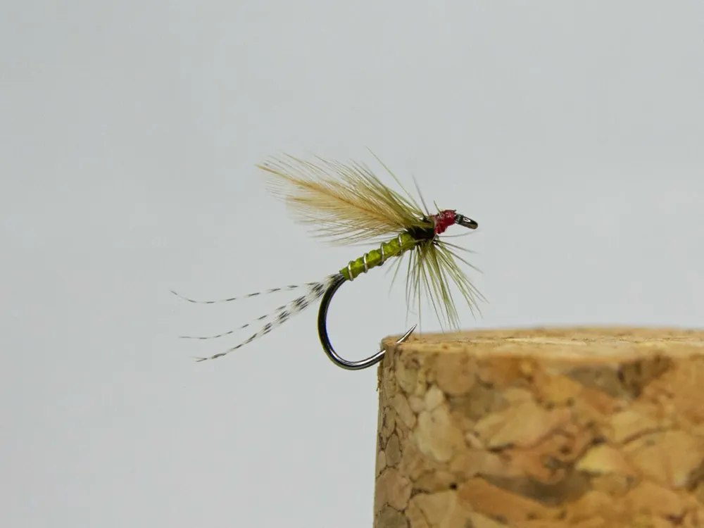 Pouze Dnes Tommi Fly Jepice 19