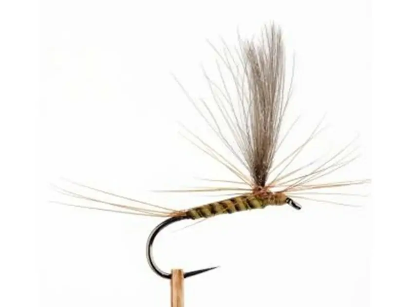 Autentický Tommi Fly Parašutka S38