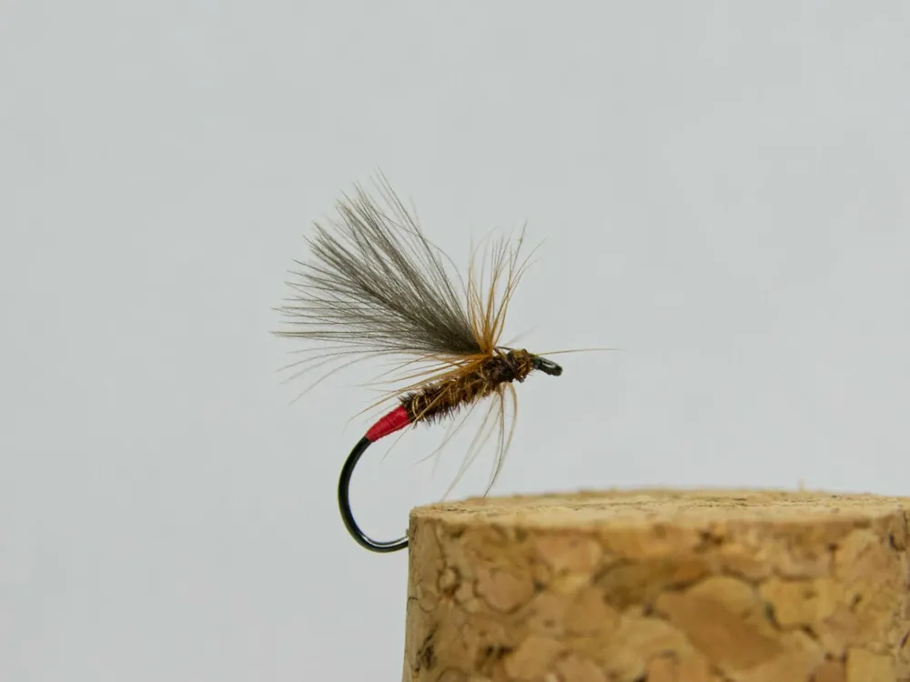 Omezená Nabídka Tommi Fly Parašutka S41