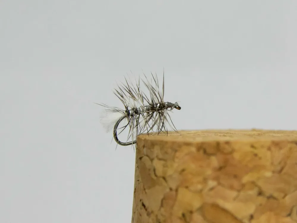 Tommi Fly Palmer 02 Akce
