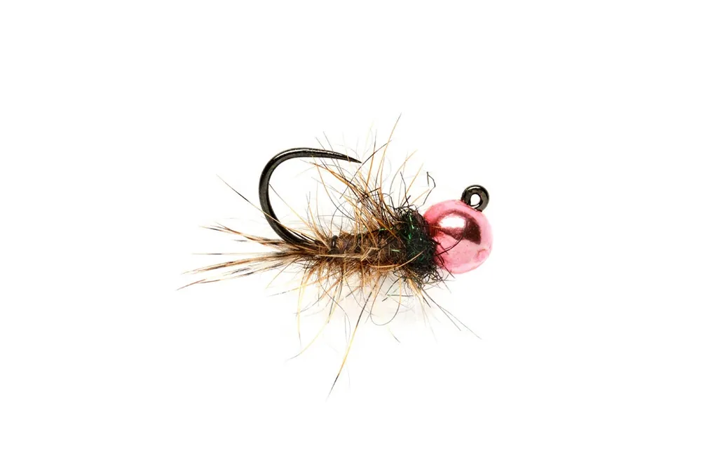 Luboš Roza PINK HARE‘S EAR Ověřený