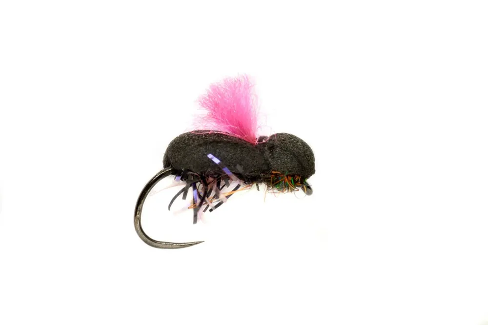 Akční Cena PROCTER‘S Beetle Pink