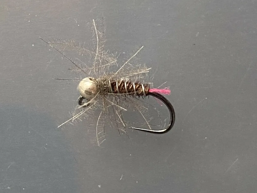 Nymfa Tungsten 19 Rychlé Dodání