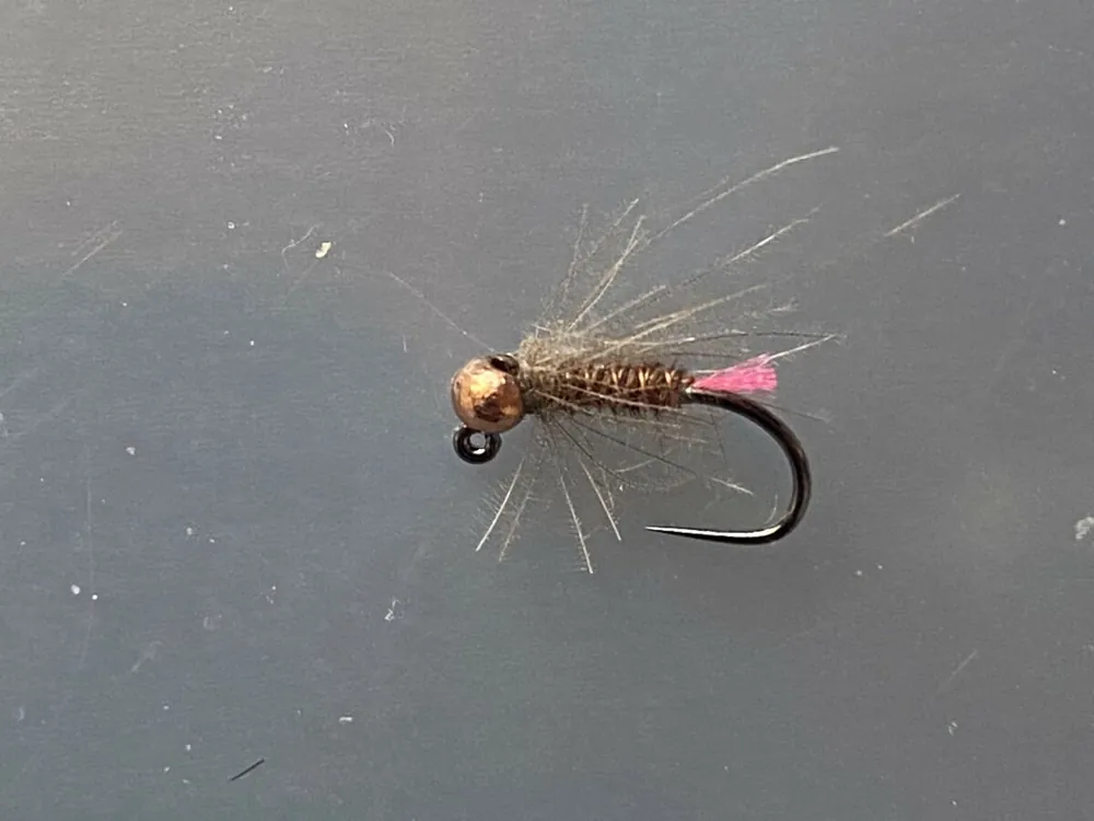 Nymfa Tungsten 18 Expresní Doručení