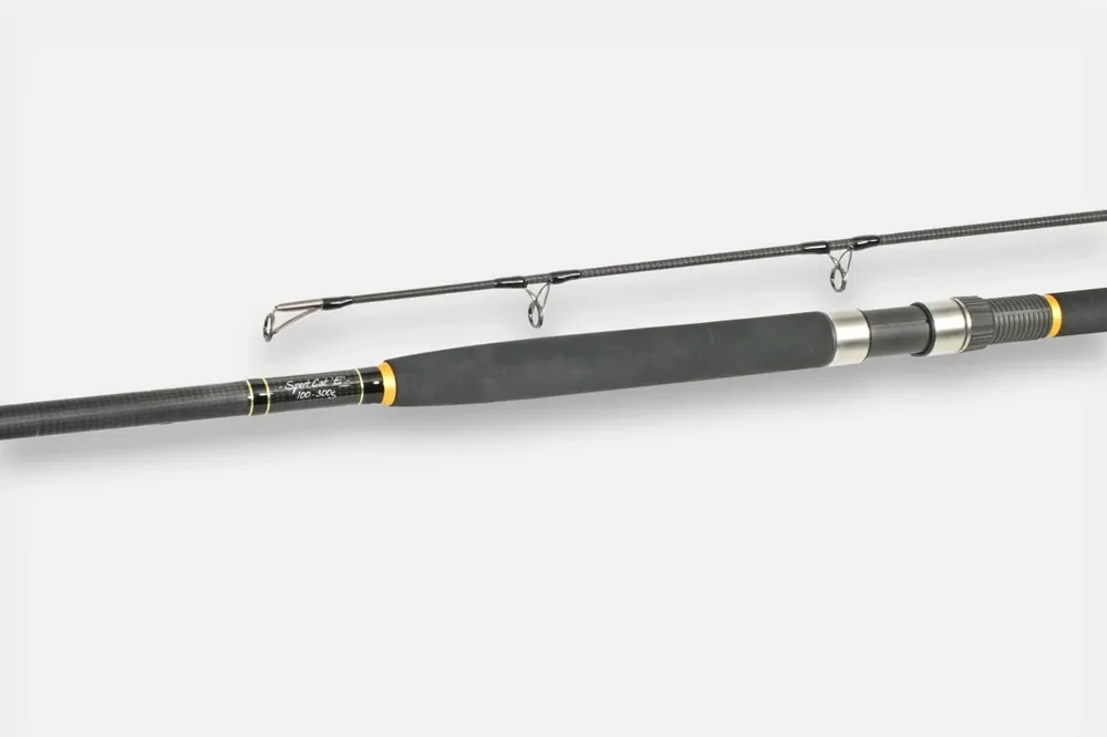 Nakupujte Hned Free Spirit sumcové pruty - E SPORT 10‘ 3,0m 100-300g