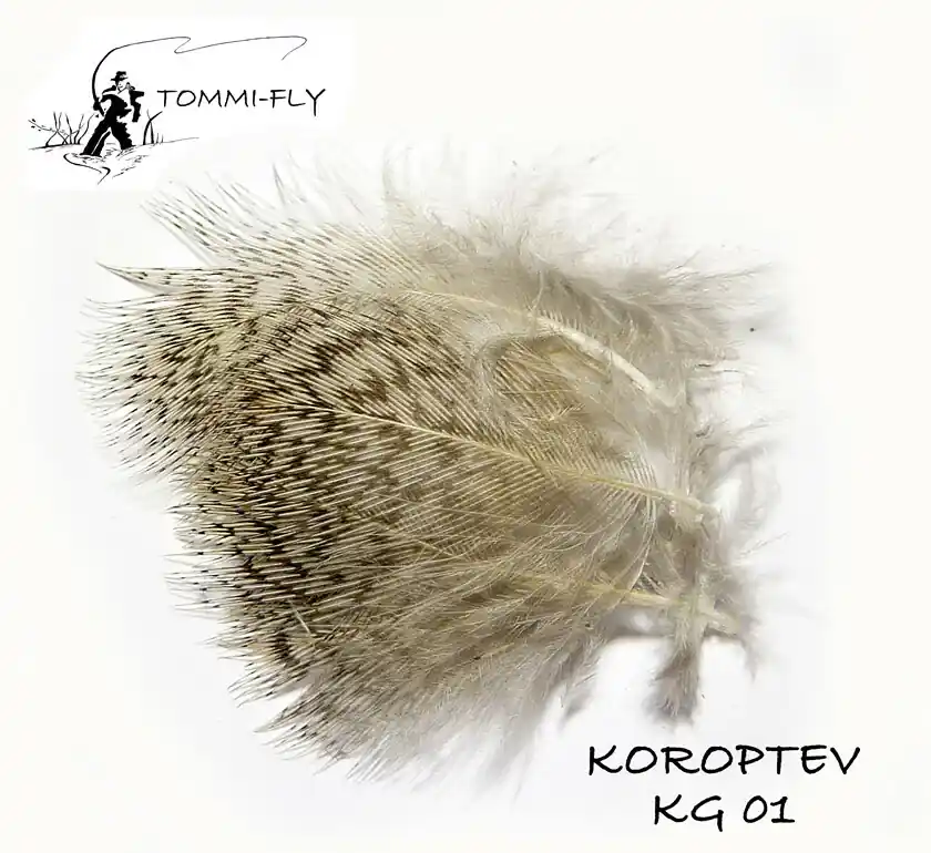 TOMMI FLY KOROPTEV - GRIZZLY Objednat Nyní