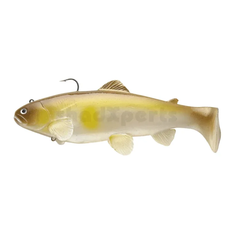 Rychlé Dodání Castaic Swim Bait Trout 20cm 133g sinking Ayu