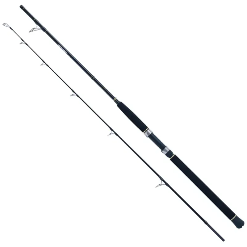Časově Omezené WFT Sea Dart Special Fjord 210cm 25lbs 30-300g 2-teilig