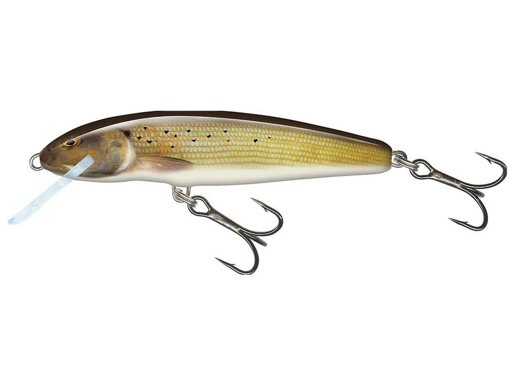Salmo Wobler Minnow Floating Grayling - 7 cm 6 g Omezená Nabídka