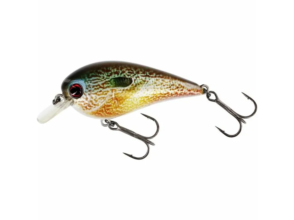 Westin Wobler BassBite 2.5 Squarebill 7cm 16g Floating Real Pumpkinseed Odeslání Ihned