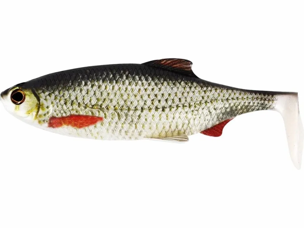 Nejlepší Volba Ricky the Roach Shadtail Box 10 Cm Real Roach