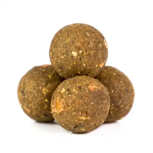 Mikbaits LiveriX Boilies Schlaue Muschel 24mm 20kg (Big Pack) Oblíbený