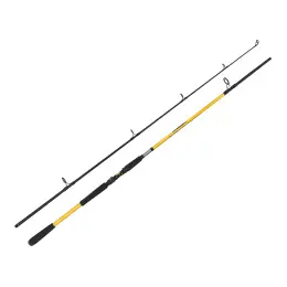 Přímo Od Výrobce ZFISH Prut Kodiak 2,40m/100-250g