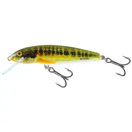 Odeslání Ihned Salmo - Wobler Minnow floating 7cm
