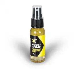 Horká Nabídka FEEDER EXPERT - boost spray 30ml