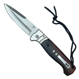 Jen Po Omezenou Doba Buck - Nůž D1-18 - 12,3cm