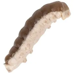 Berkley - Vosí larva Powerbait Honey Worm 55ks 2,5cm Aktuální